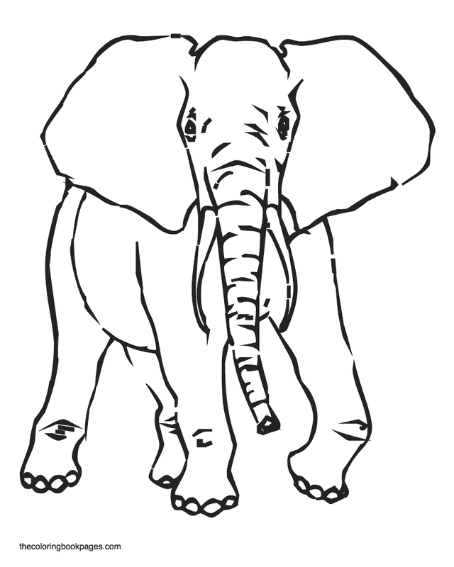 Plansa de colorat cu Elefant 61 58